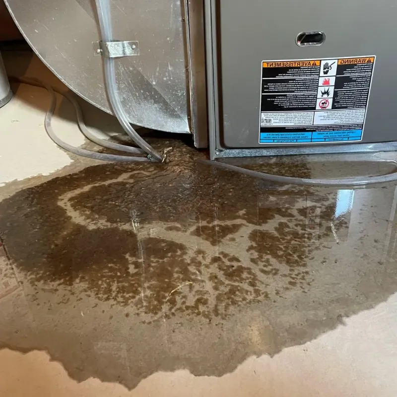 Pipe Burst and Leak Restoration in White River Junction, VT