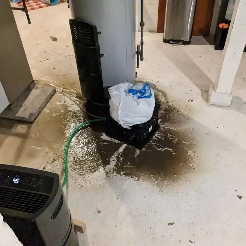 Sewage Backup Cleanup Service in White River Junction, VT
